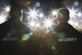 Clubs | Pubs | Party Security